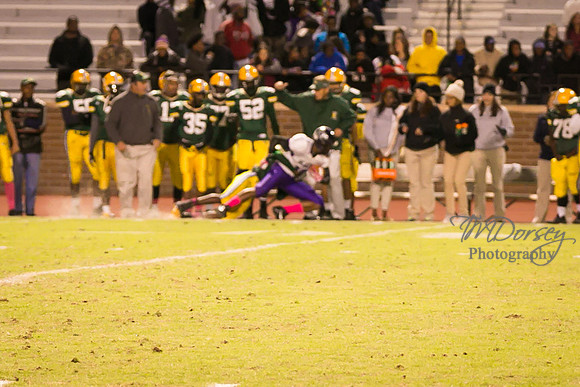 TMD_RVHS_wk8-4587