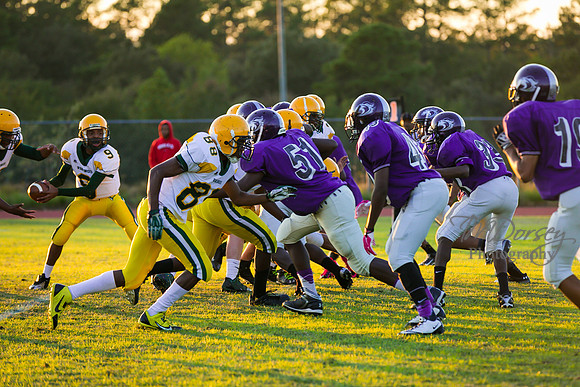 TMD_RVHS_wk8-3138