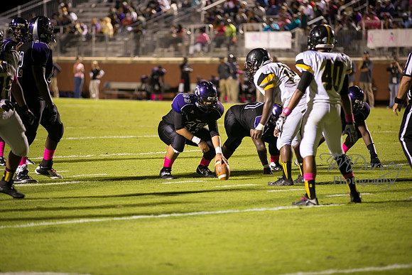 TMD_RVHS_wk6-0332