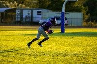 TMD_RVHS_wk8-3038