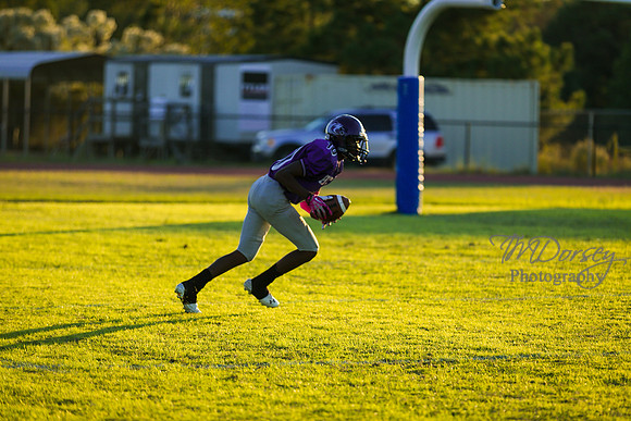 TMD_RVHS_wk8-3038