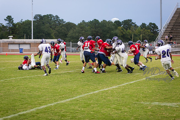 TMD_RVHS_wk7-1165