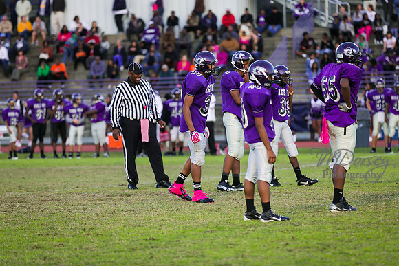 TMD_RVHS_wk8-3239