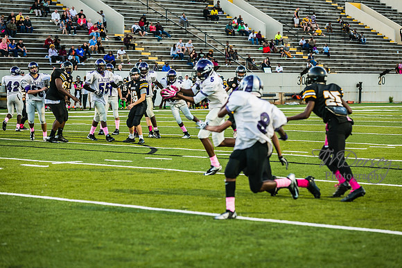 TMD_RVHS_wk6-9133