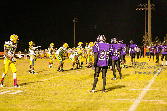 TMD_RVHS_wk8-3801