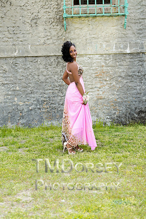 AHS_Prom_2014-1653_pc