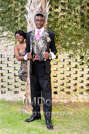 AHS_Prom_2014-1904_pc
