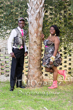 AHS_Prom_2014-1893_pc