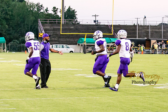 RVHS_2016-3876
