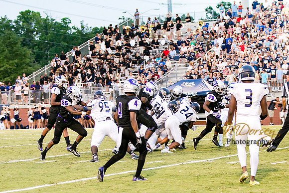RVHS_2016-0087