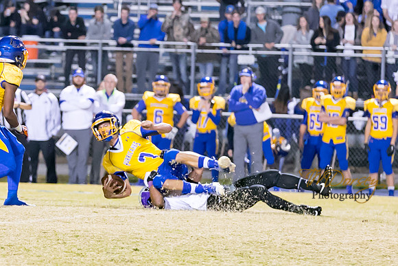 RVHS_2016-2972