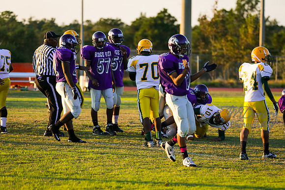 TMD_RVHS_wk8-3099