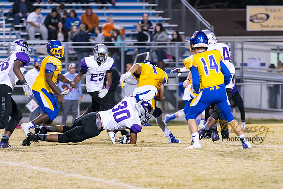 RVHS_2016-3272