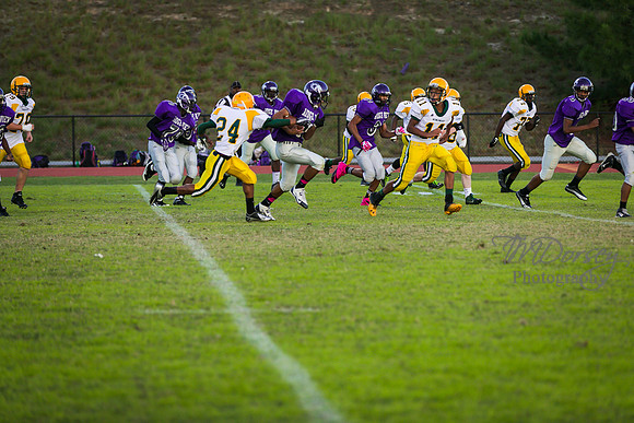 TMD_RVHS_wk8-3248