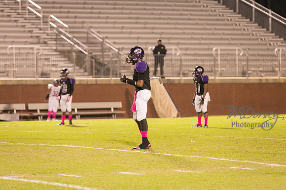 TMD_RVHS_wk7-2102
