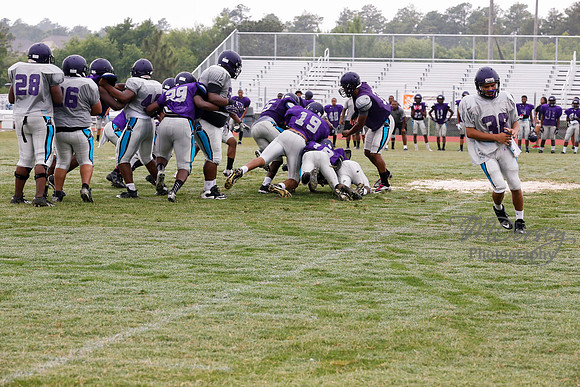 TMD_RVHS_2014-3645