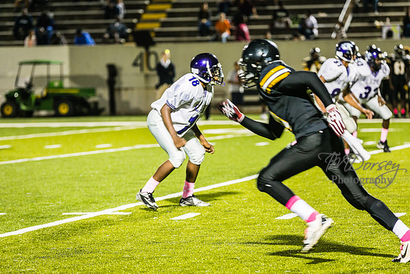 TMD_RVHS_wk6-9417