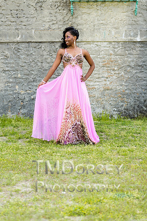 AHS_Prom_2014-1655_pc