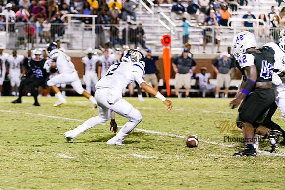 RVHS_2016-0863