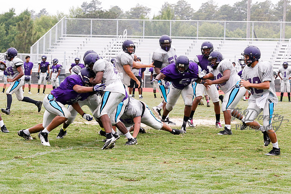 TMD_RVHS_2014-3660