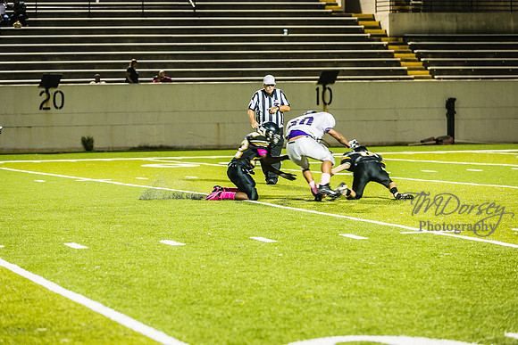 TMD_RVHS_wk6-9455