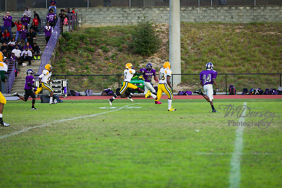 TMD_RVHS_wk8-3190
