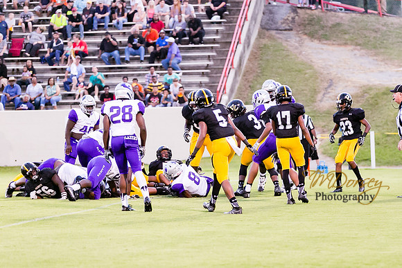 RVHS_2016-3871