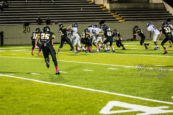 TMD_RVHS_wk6-9345