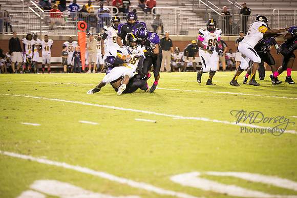 TMD_RVHS_wk6-0586