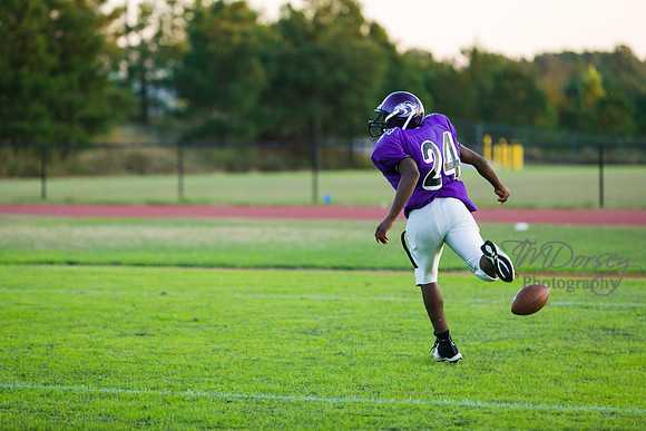 TMD_RVHS_wk8-3179
