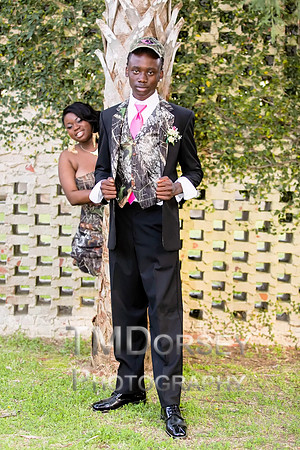AHS_Prom_2014-1903_pc