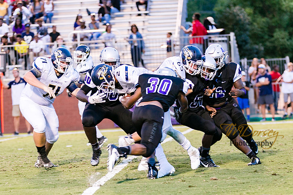 RVHS_2016-0141