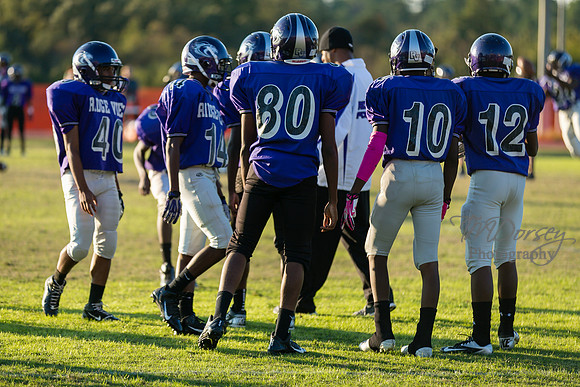 TMD_RVHS_wk8-3007