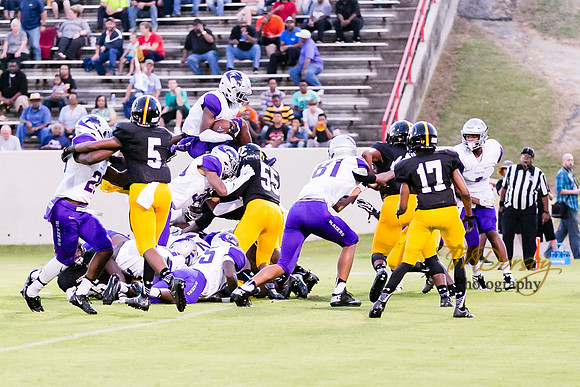 RVHS_2016-3867