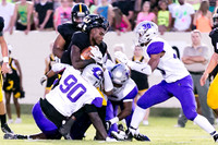 RVHS_2016-3935
