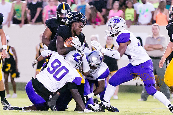 RVHS_2016-3935