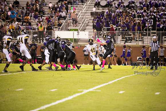 TMD_RVHS_wk6-0270