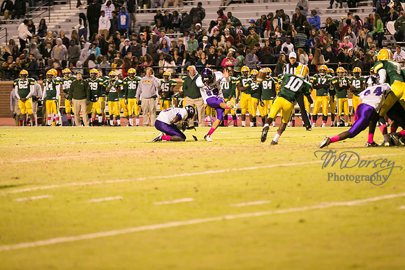 TMD_RVHS_wk8-4676