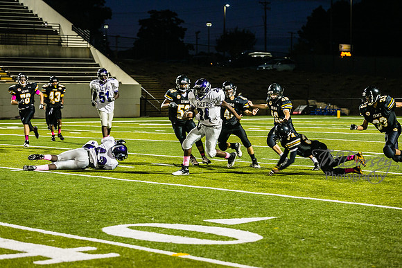 TMD_RVHS_wk6-9350