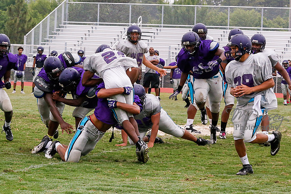TMD_RVHS_2014-3661