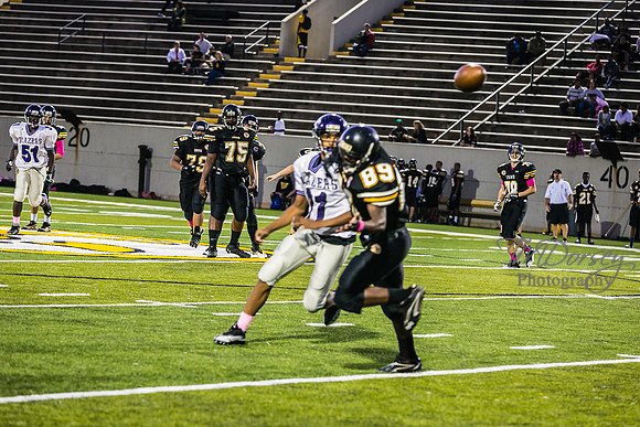 TMD_RVHS_wk6-9220