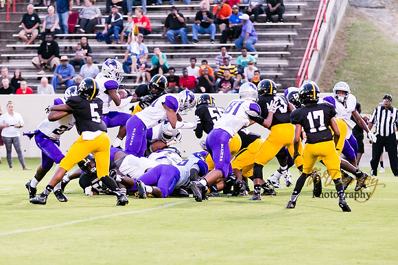 RVHS_2016-3866