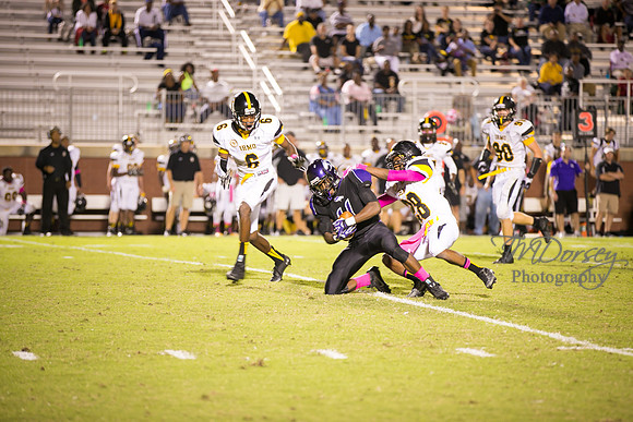 TMD_RVHS_wk6-0652