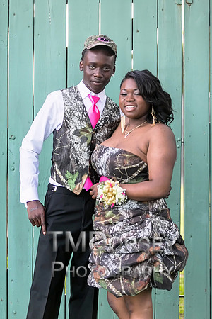AHS_Prom_2014-1887_pc