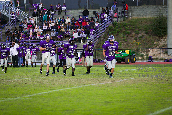 TMD_RVHS_wk8-3253