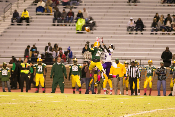 TMD_RVHS_wk8-4582