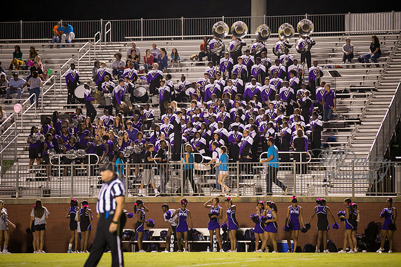 TMD_RVHS_wk6-0252