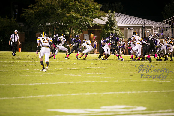 TMD_RVHS_wk6-0478