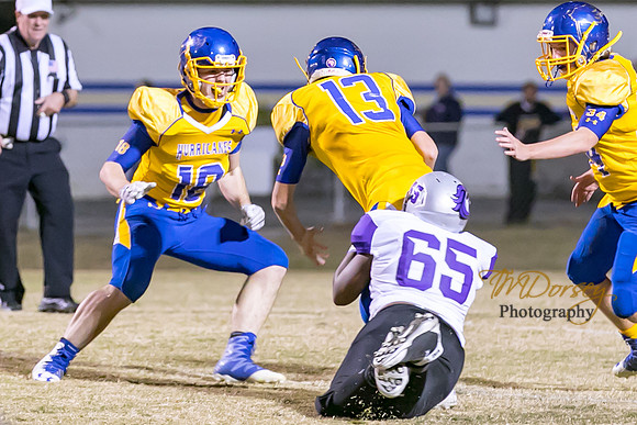 RVHS_2016-3306
