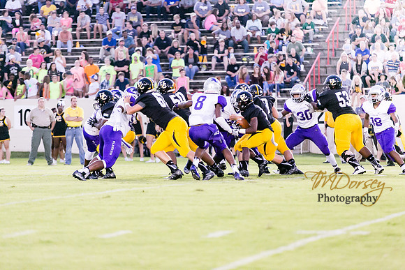 RVHS_2016-3917